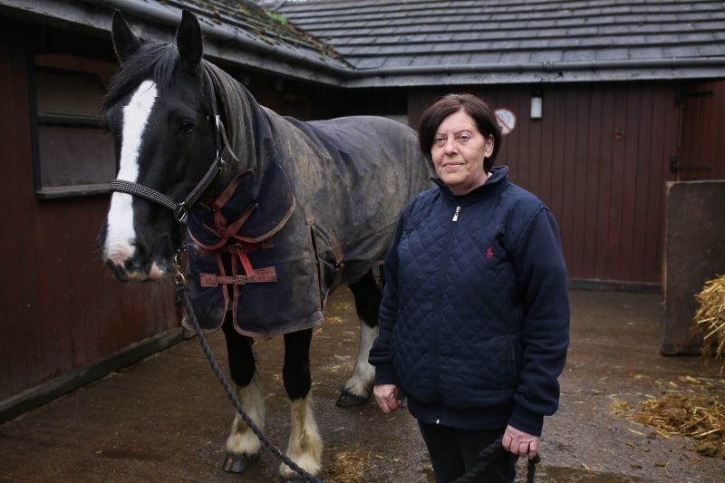 Other image for Tradesmen ride in to help fix trashed horse centre